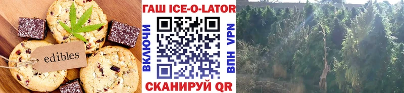 ссылка на мегу онион  Малгобек  Canna-Cookies конопля  где найти наркотики 