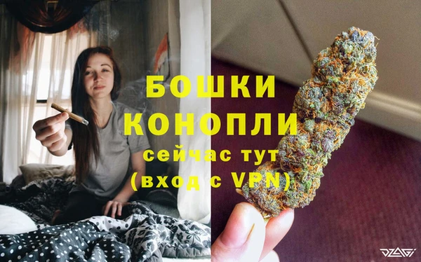 дживик Корсаков
