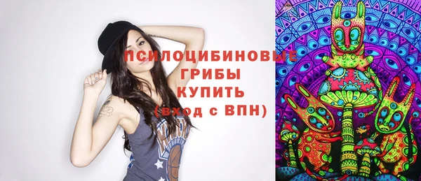 винт Костерёво