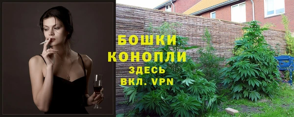 соль ск Краснослободск
