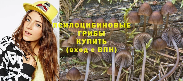 мдпв Краснотурьинск