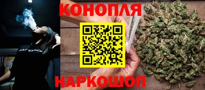крисы Камышлов