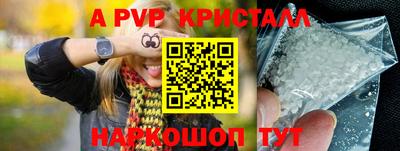 крисы Камышлов