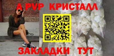 крисы Камышлов