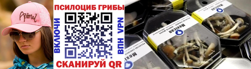 Псилоцибиновые грибы Magic Shrooms  Малгобек 