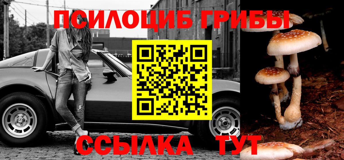 Малгобек  Галлюциногенные грибы GOLDEN TEACHER  Вход с VPN 