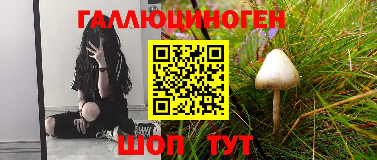 Псилоцибиновые грибы ЛСД  Малгобек 